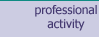 professional activity